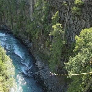 Meet your Posher, Tamara